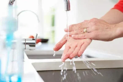 How To Handle A Turkey Person washing hands.