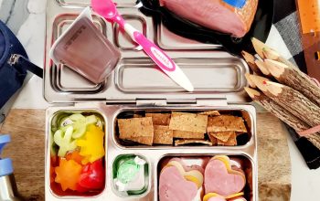 Shahir - Back to School Lunchables - Extra Lean Turkey Ham